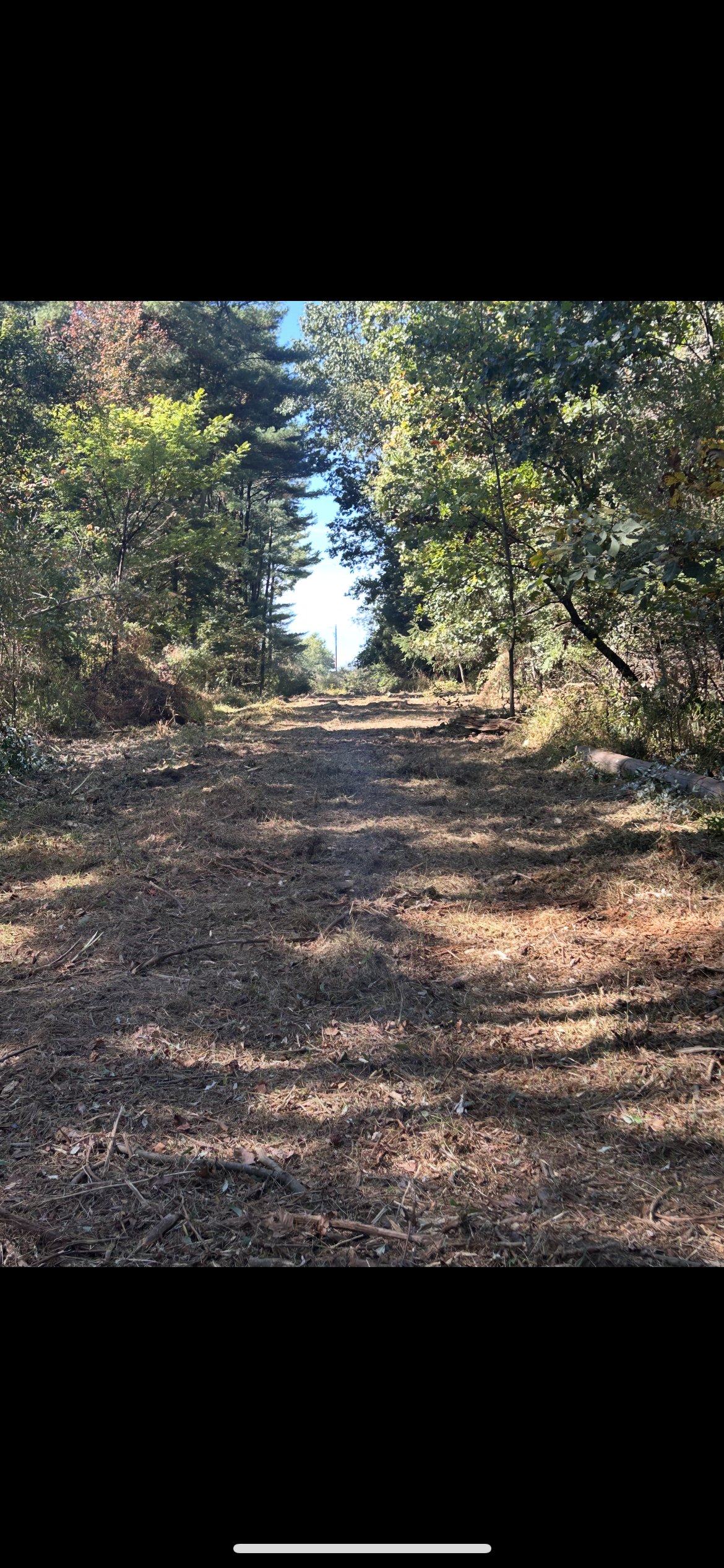 After clearing - clean, cleared land ready for use