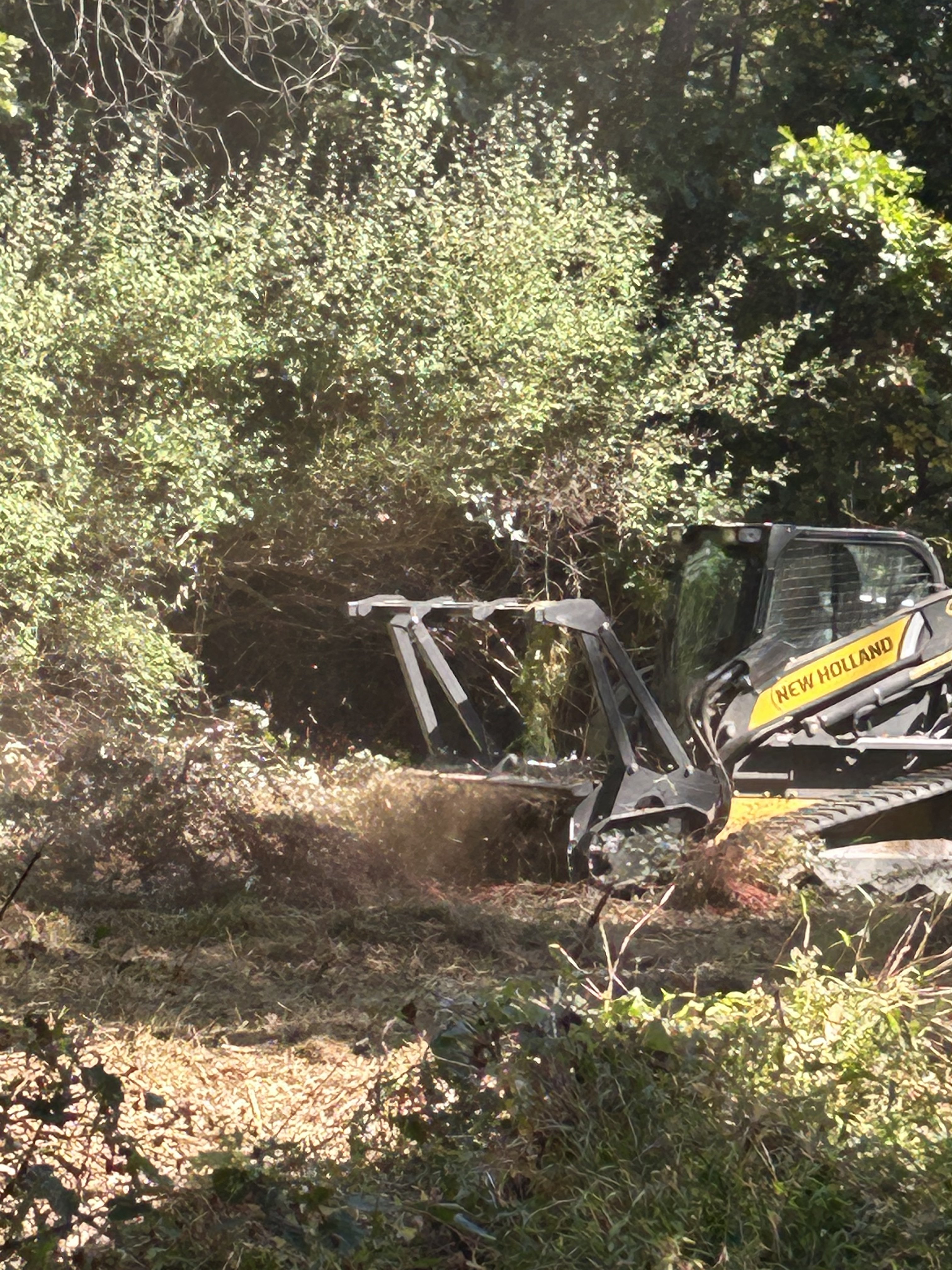 Machine actively clearing dense brush